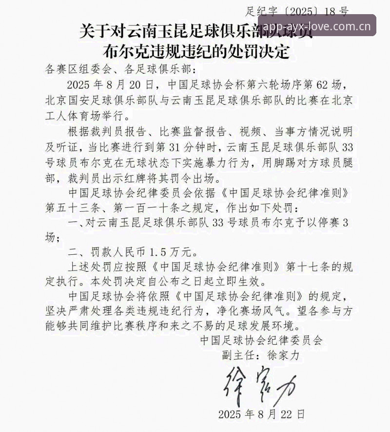 爱游戏登录 终身禁足vs五年禁赛:足协第三批名单处罚梯度对比,爱游戏平台数据视角解读
