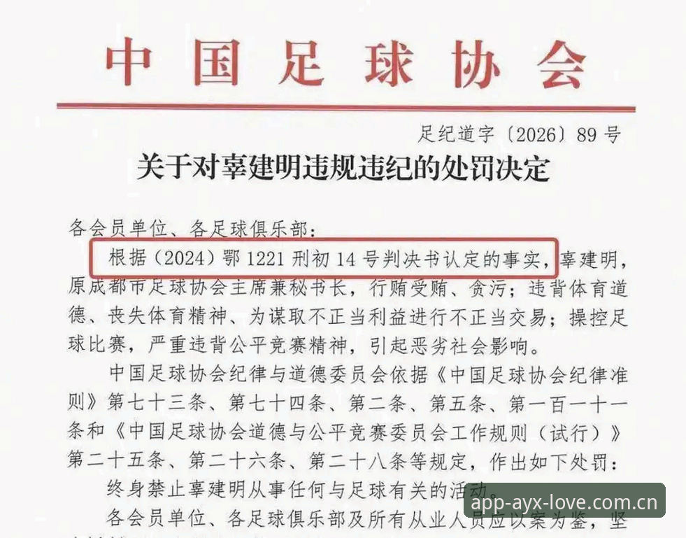 爱游戏登录 终身禁足vs五年禁赛:足协第三批名单处罚梯度对比,爱游戏平台数据视角解读